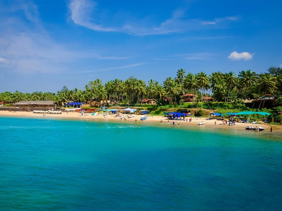 Palm-lined beach in North Goa at golden hour — Goa tour package